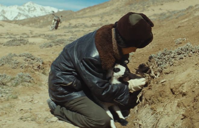 胡歌和杨紫演的电视剧__胡歌杨紫合作