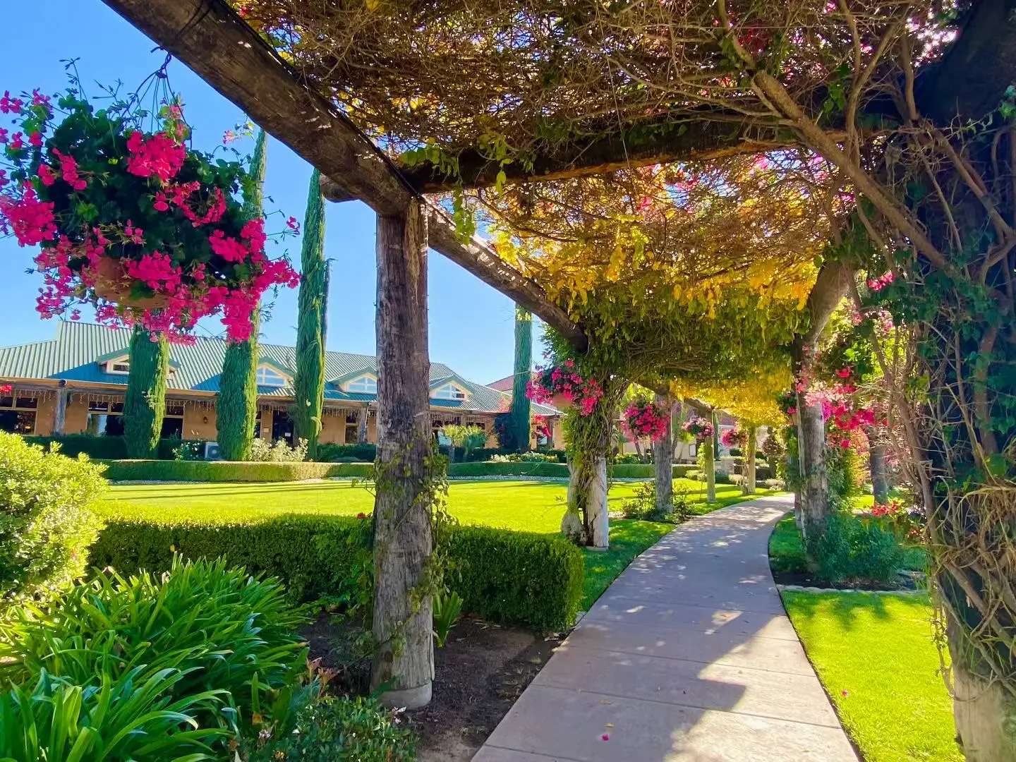 黄金牛市是否终结_黄金牛市一般持续几年_