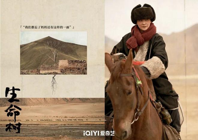 胡歌和杨紫演的电视剧__胡歌杨紫