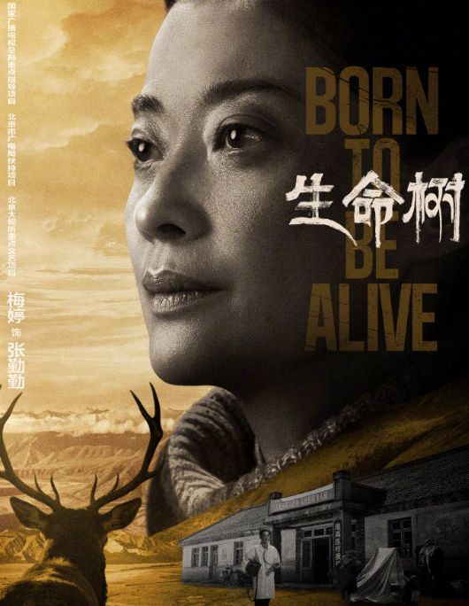 胡歌和杨紫演的电视剧_胡歌杨紫_