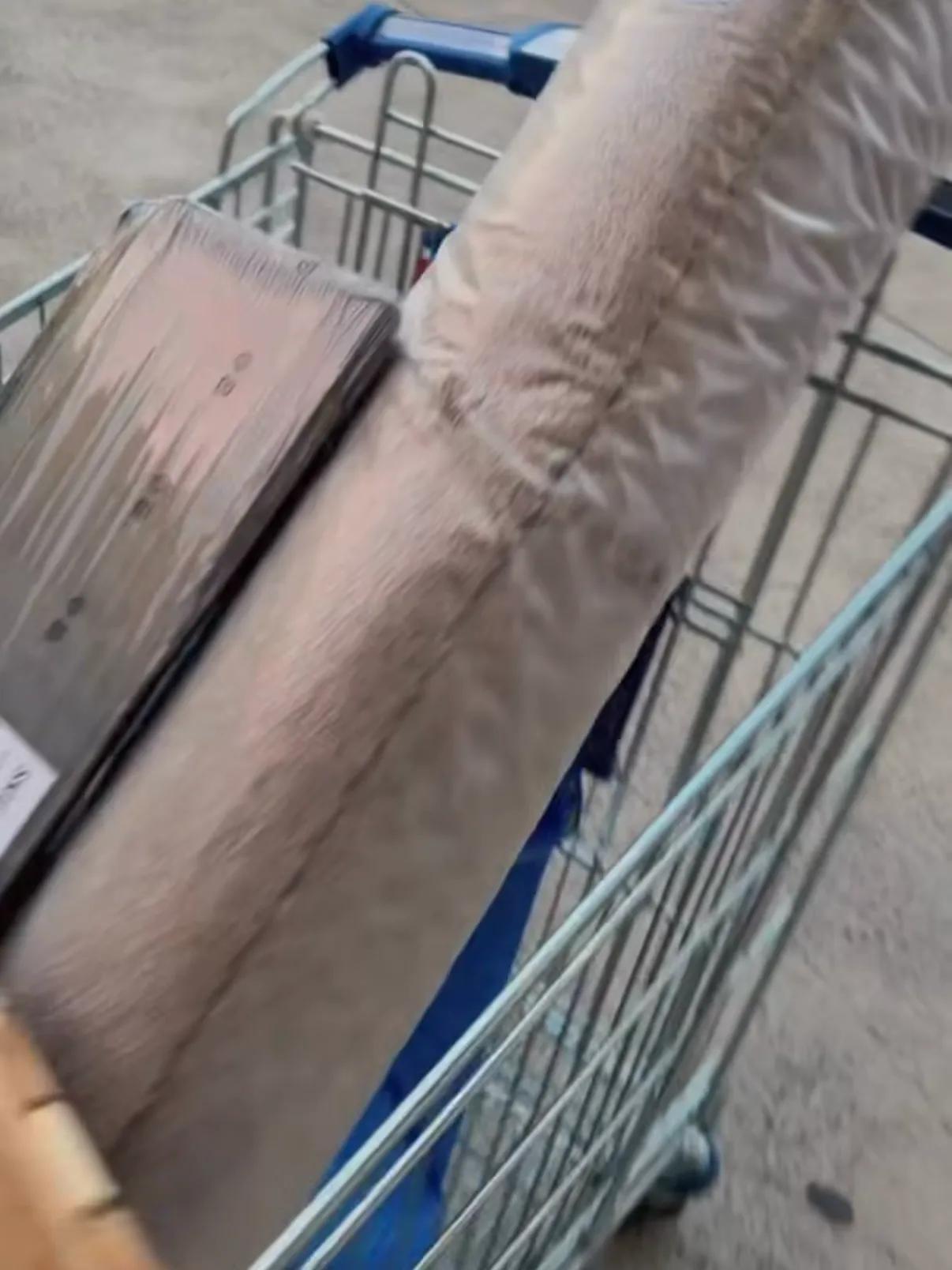 _张柏芝和大儿子逛澳洲宜家,Lucas高大帅气,随性松弛很像谢霆锋_张柏芝和大儿子逛澳洲宜家,Lucas高大帅气,随性松弛很像谢霆锋