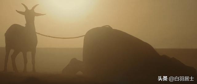 _《太平年》靠什么打破圈层：“纳土归宋”比死战更需要勇气_《太平年》靠什么打破圈层：“纳土归宋”比死战更需要勇气