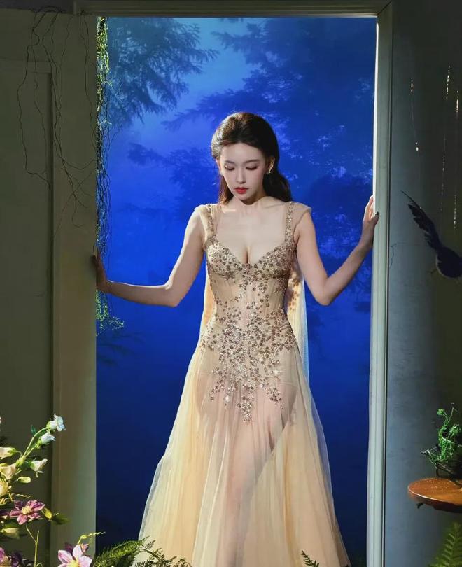 杨紫微博之夜红毯__杨紫戛纳红毯