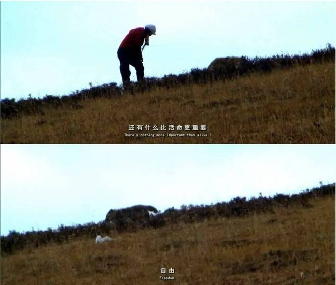 _优酷独家播出的节目_优酷独家播出