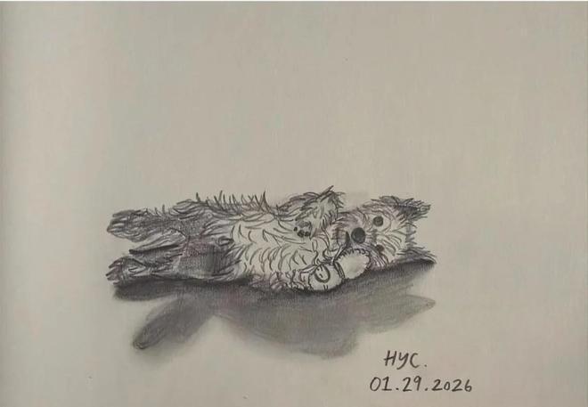 黄多多晒20岁生日照，用最新款手机生活富足，美国公寓装修高档_黄多多晒20岁生日照，用最新款手机生活富足，美国公寓装修高档_