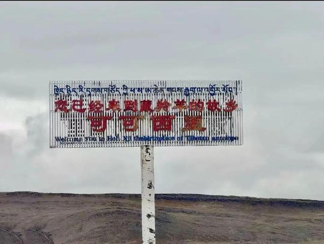 《生命树》多杰原型,真是令人破大防!一家三代用命守护可可西里_《生命树》多杰原型,真是令人破大防!一家三代用命守护可可西里_