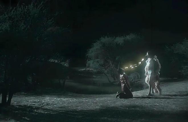 入围奥斯卡电影_奥斯卡提名导演_