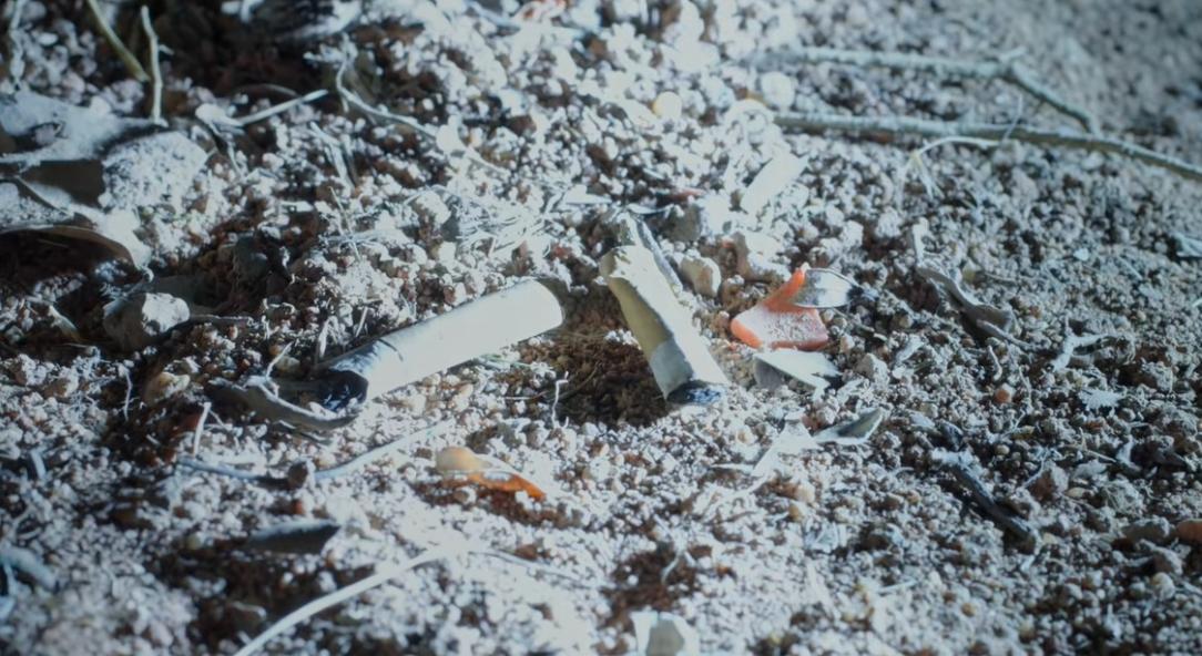 _刑侦追逃电视剧_2020刑侦网剧