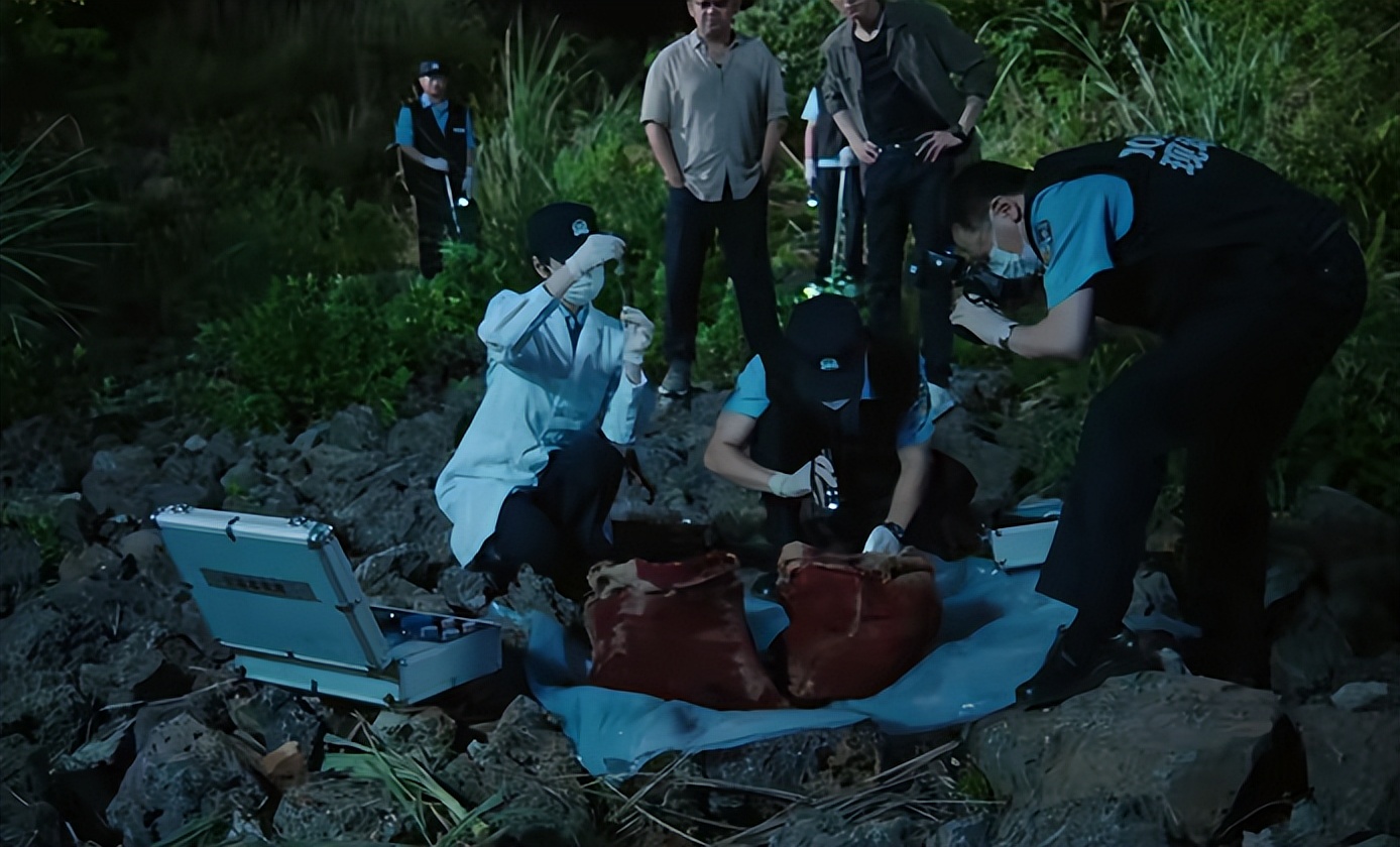 _2020刑侦网剧_刑侦追逃电视剧