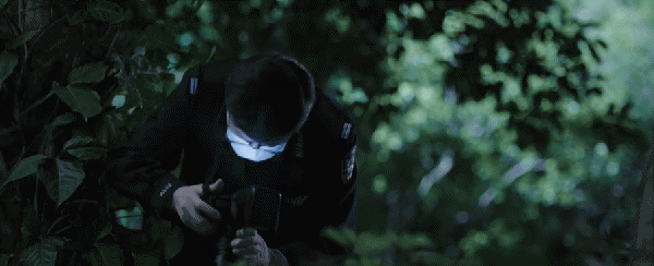 2020刑侦网剧__刑侦追逃电视剧