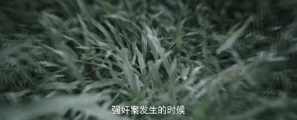 2020刑侦网剧_刑侦追逃电视剧_