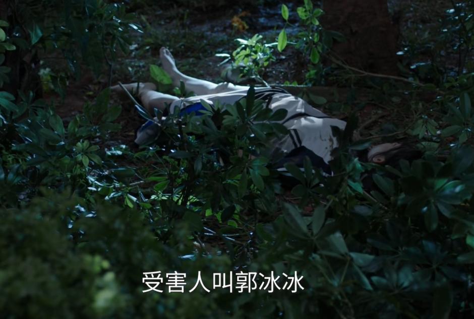 _刑侦追逃电视剧_2020刑侦网剧