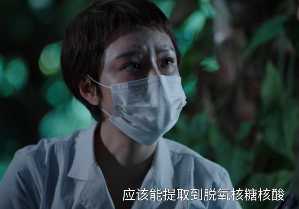 _2020刑侦网剧_刑侦追逃电视剧