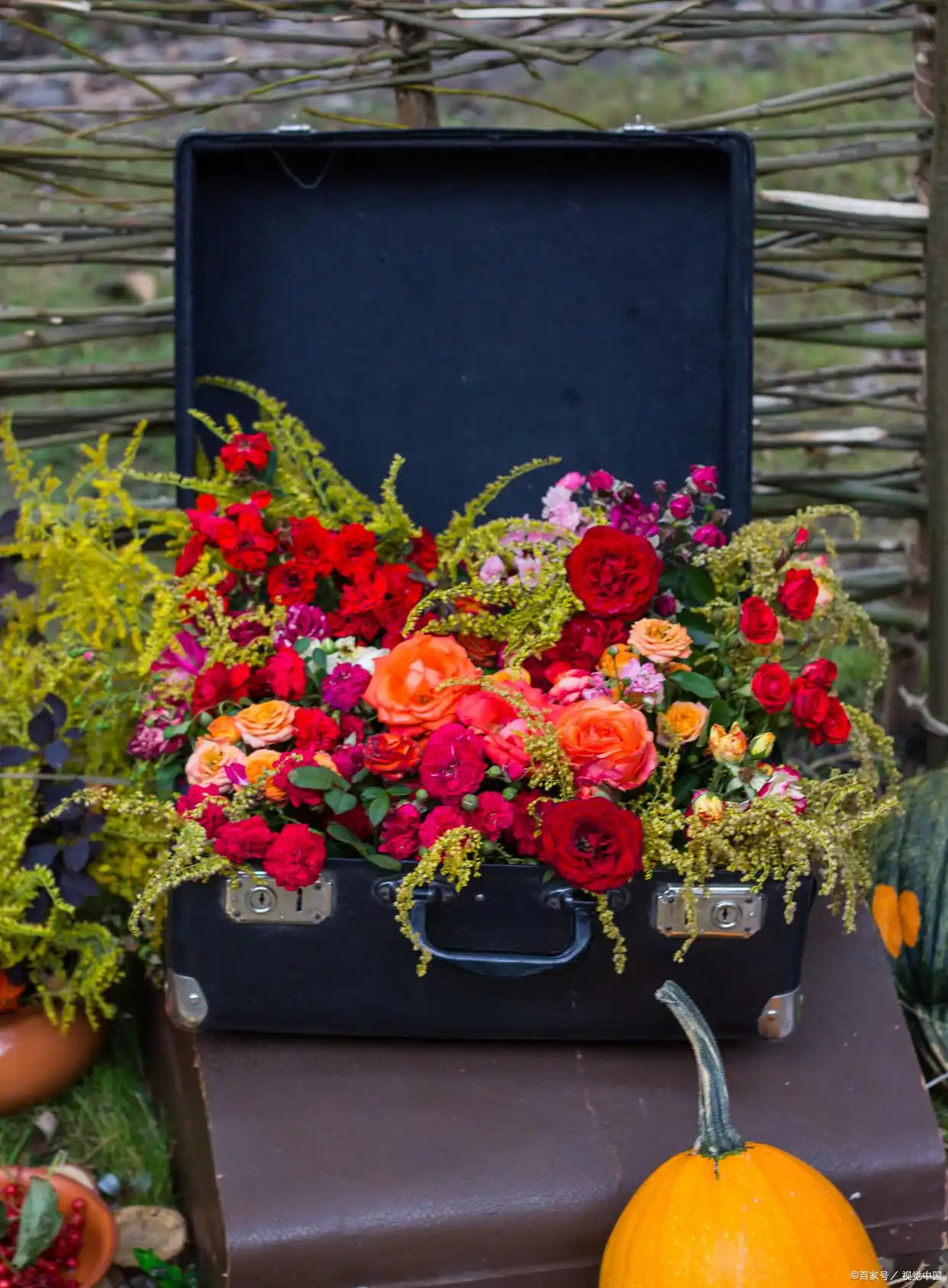 _梦里不舍心里不休是什么歌_心里梦里想的都是你是什么歌曲