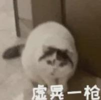 _汉字字母哥_玩字母吗