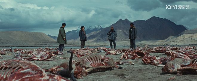 _杨紫提起胡歌_杨紫采访提起胡歌