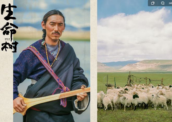 _《生命树》桑巴结局：一心只想有个编制的他，最终终于心想事成！_《生命树》桑巴结局：一心只想有个编制的他，最终终于心想事成！