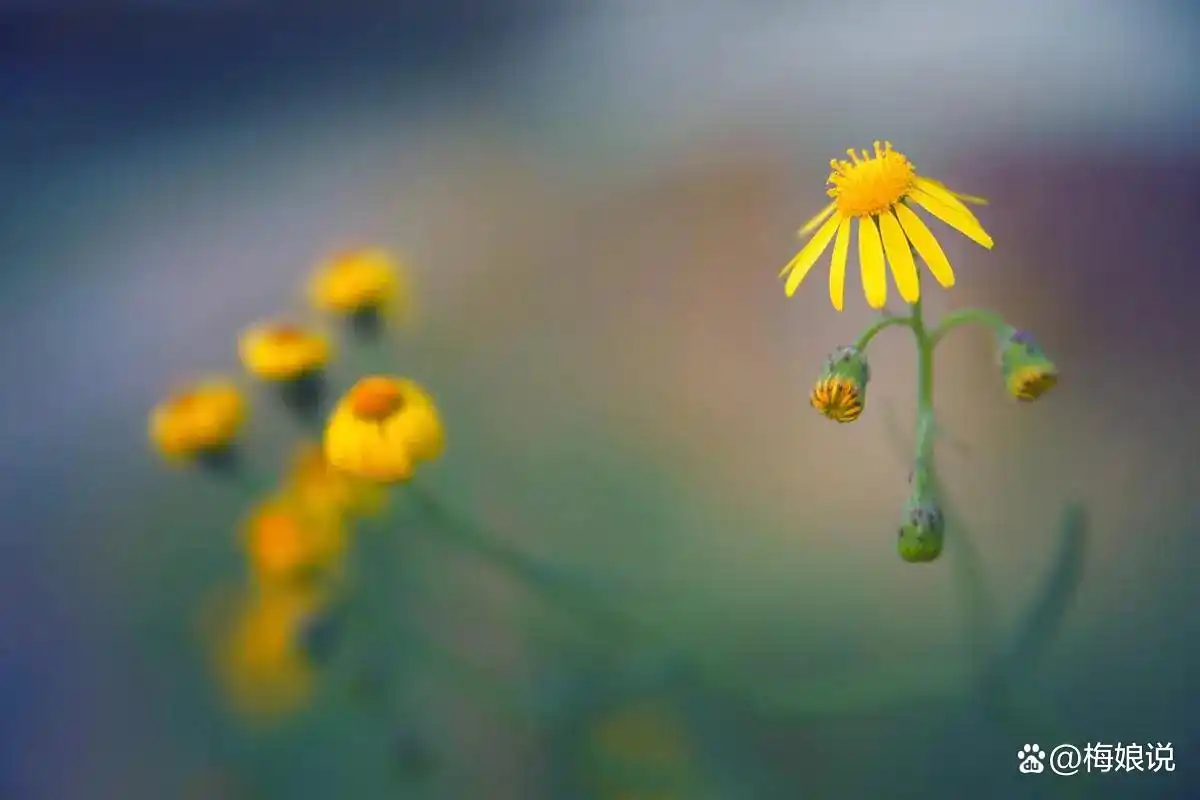 _认错人时的心理_远离错的人