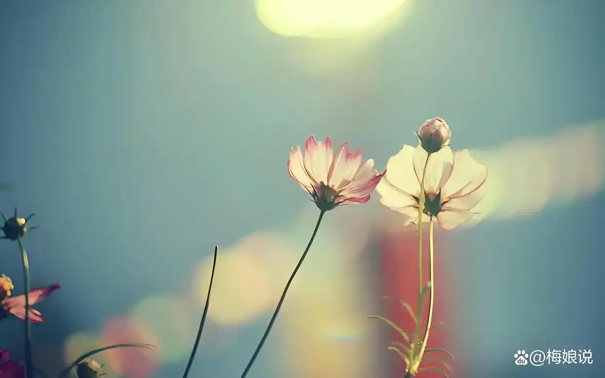 远离错的人_认错人时的心理_