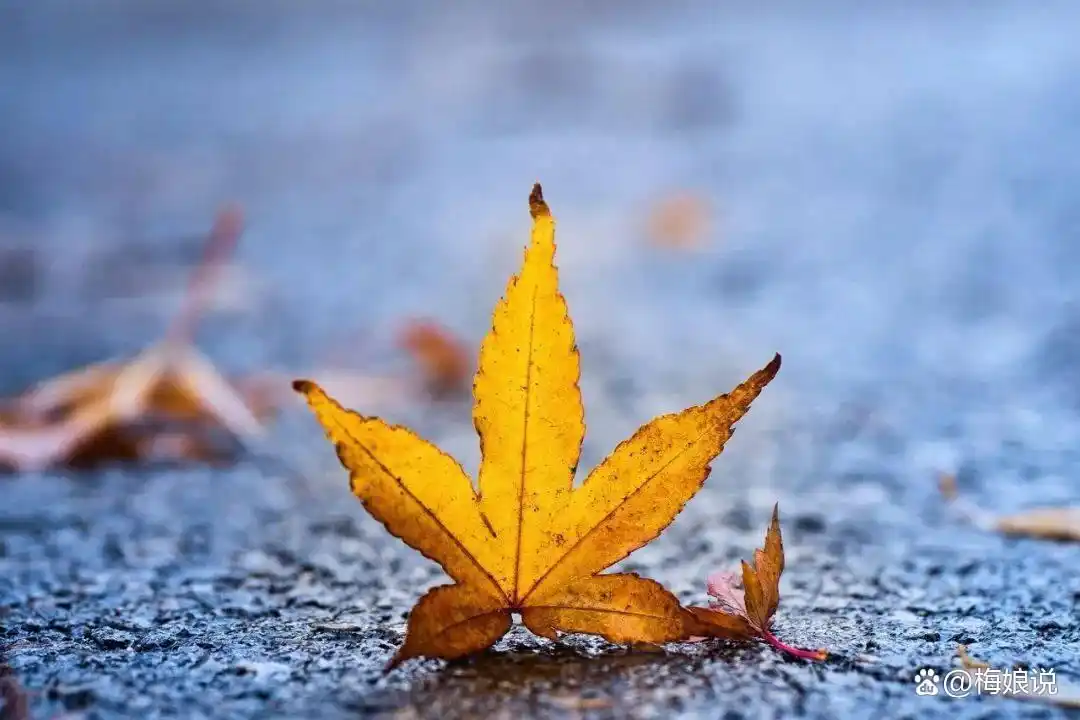 远离错的人_认错人时的心理_