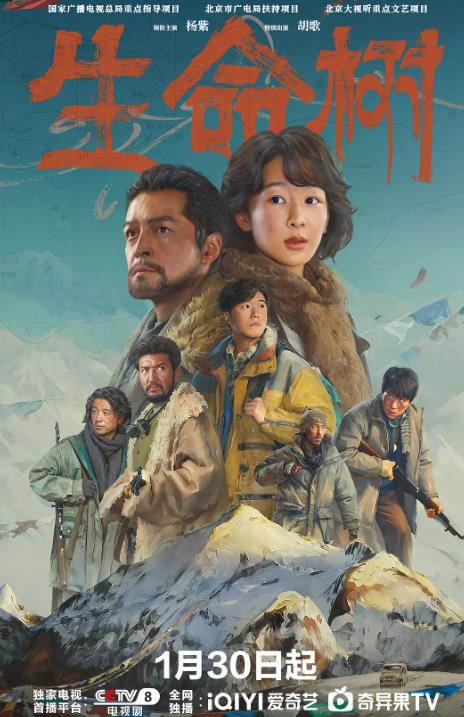 那些年看过的剧900集__女儿红电视剧央视开播