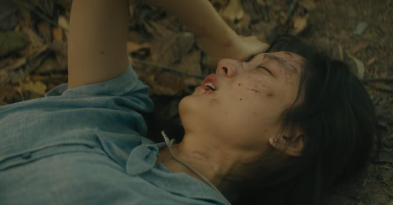 2020黑马剧_新剧黑马_