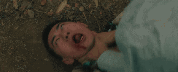 _2020黑马剧_新剧黑马