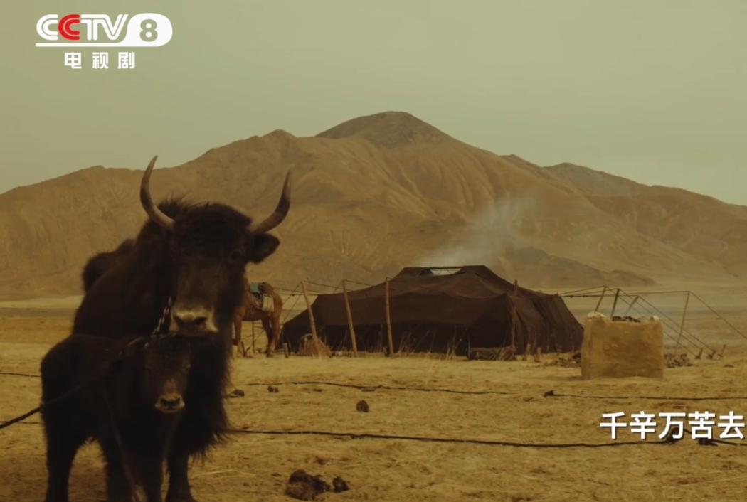 _胡歌直播电影_胡歌最新节目