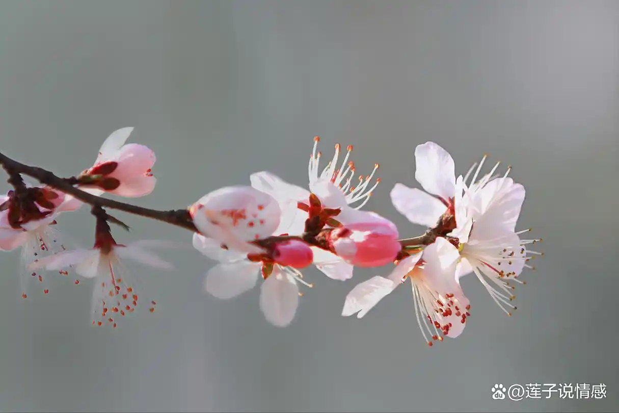 人到中年互相嫌弃__中年男人会嫌弃自己老婆吗