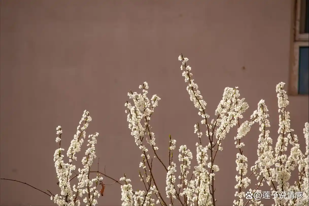 中年男人会嫌弃自己老婆吗_人到中年互相嫌弃_