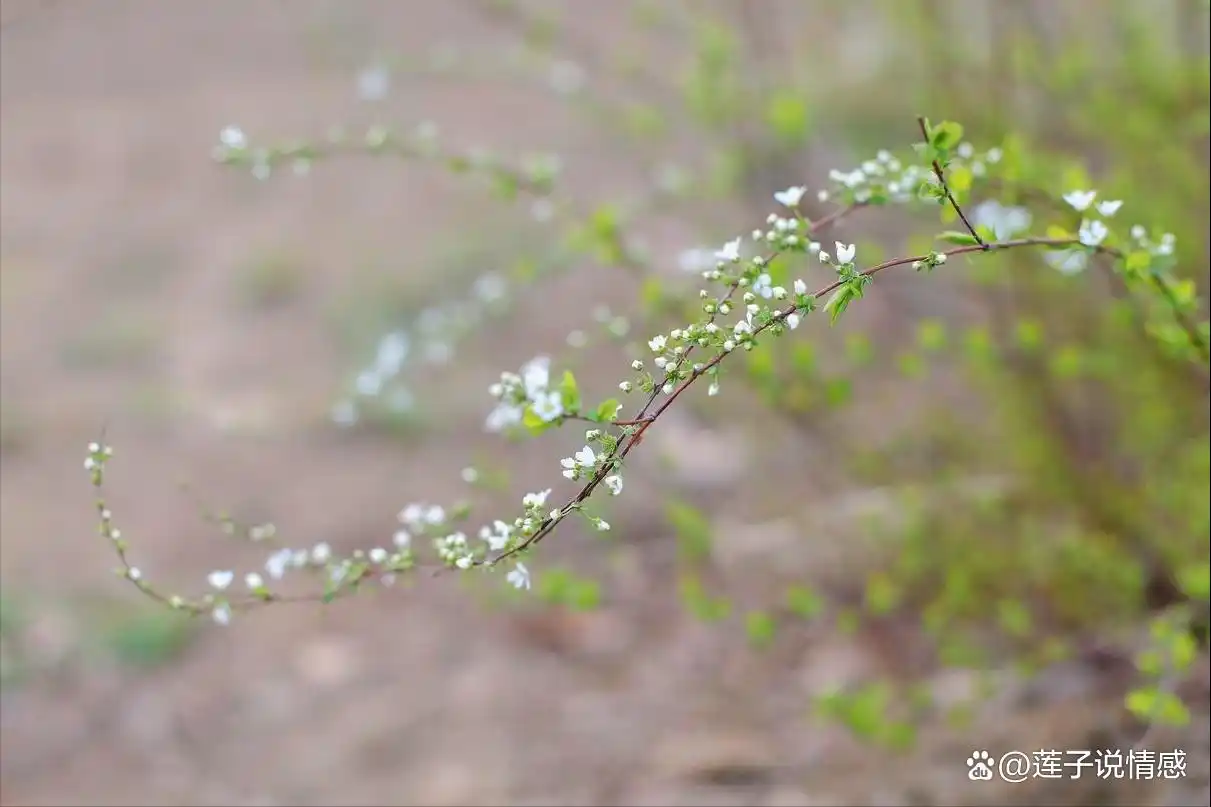 中年男人会嫌弃自己老婆吗__人到中年互相嫌弃