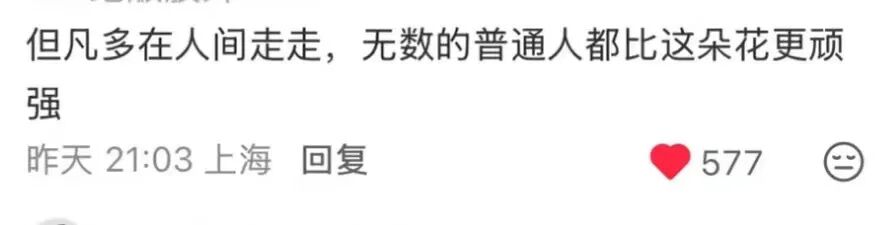 _搜索豪门贵妇_豪门贵妇lucky讲的什么