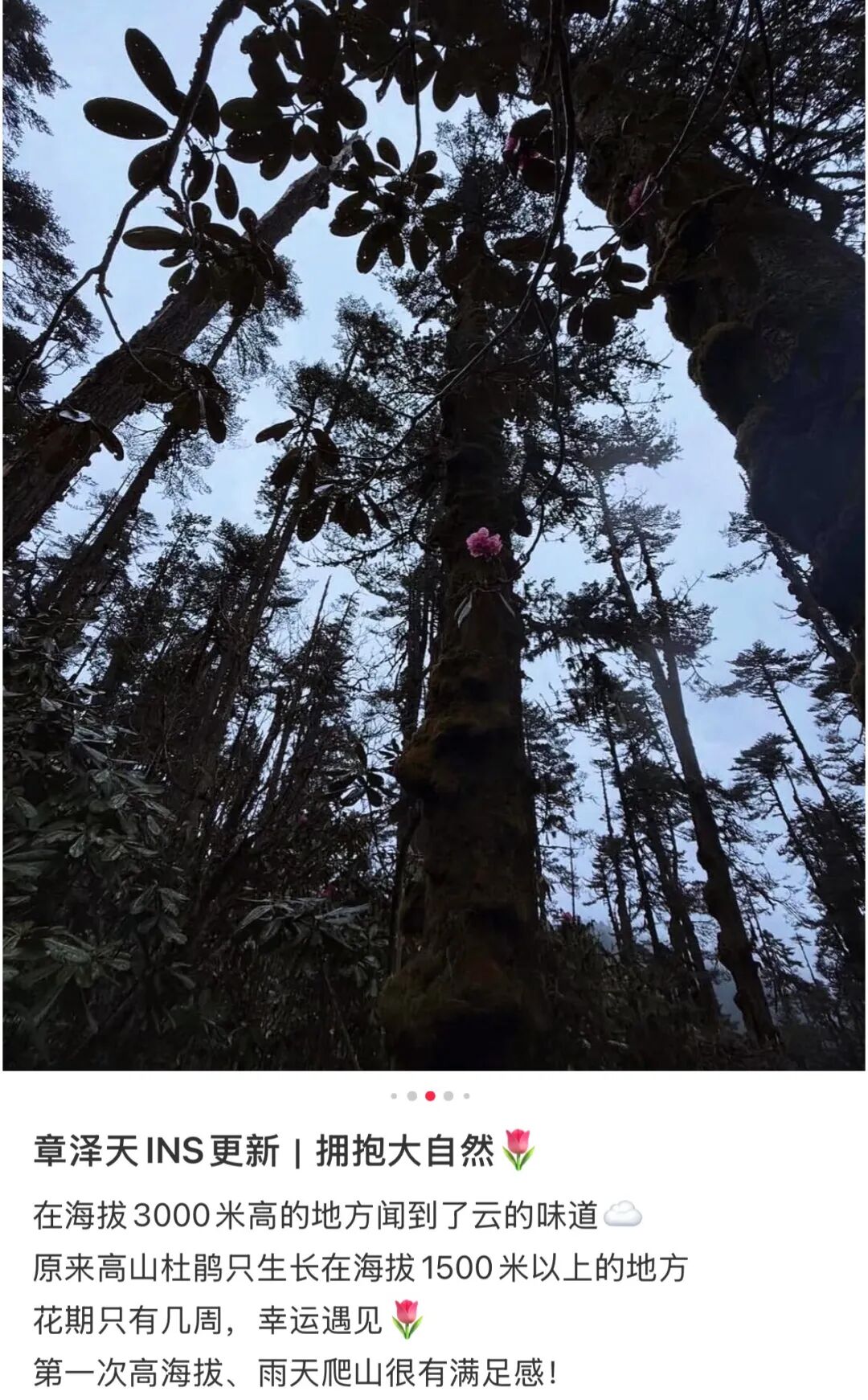 搜索豪门贵妇__豪门贵妇lucky讲的什么