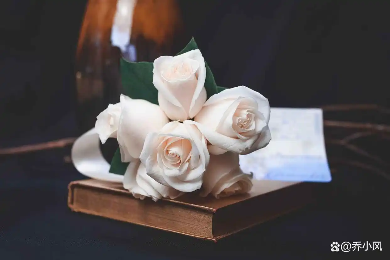 爱放手真心事男人没做怎么办_男人真放手就不会再联系了吗_