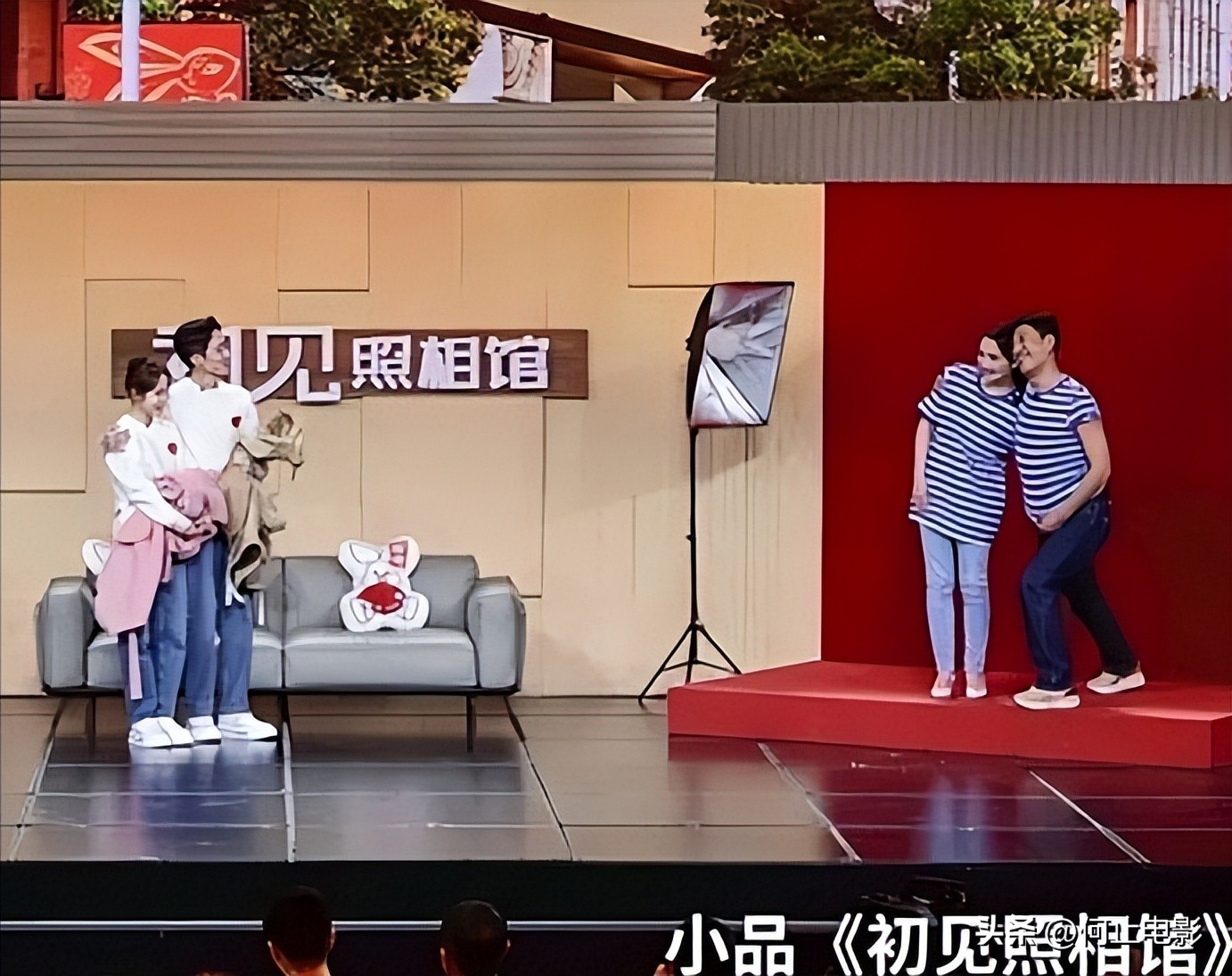 植物的睡眠阅读题三年级__披披的意思