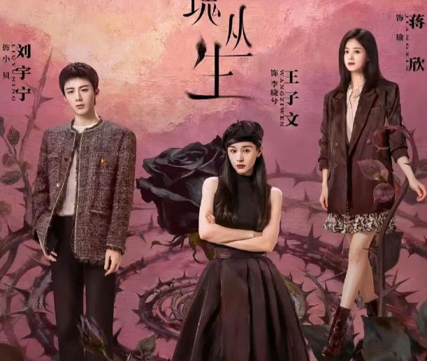 腾讯首播！王子文蒋欣时隔多年再合体！都市女性大剧《玫瑰丛生》__腾讯首播！王子文蒋欣时隔多年再合体！都市女性大剧《玫瑰丛生》