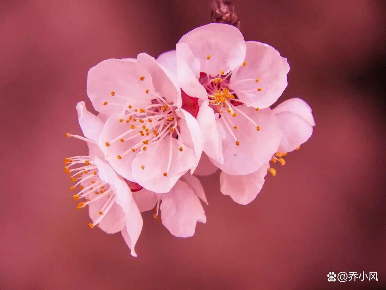 原来，一个男人不爱你，是会这样子做的：两个字_原来，一个男人不爱你，是会这样子做的：两个字_