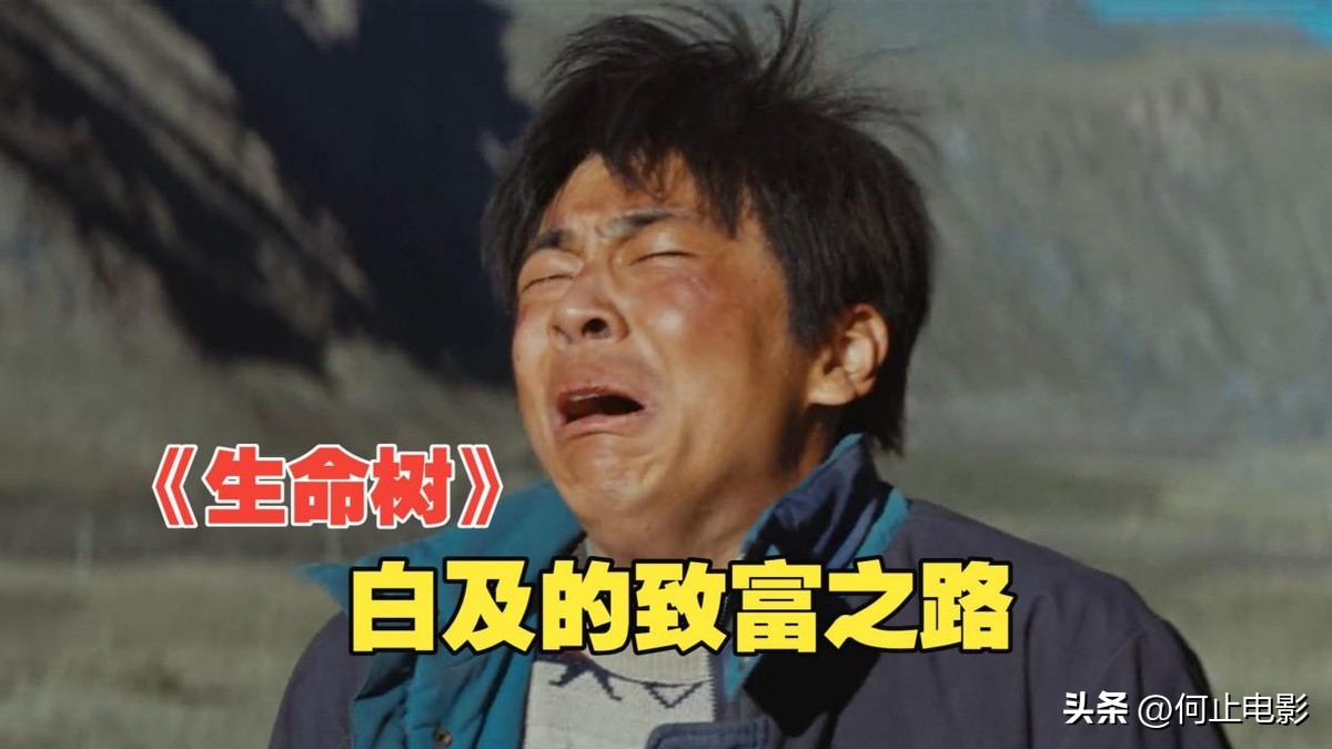 生命灵数空缺数_变蝇人2结局_