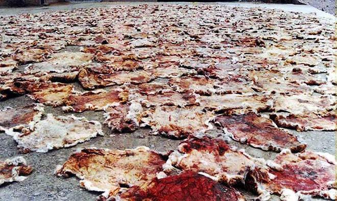 别只追《生命树》！它震撼灵魂的原型，藏在成都广电这部豆瓣9.5分的《平衡》里__别只追《生命树》！它震撼灵魂的原型，藏在成都广电这部豆瓣9.5分的《平衡》里