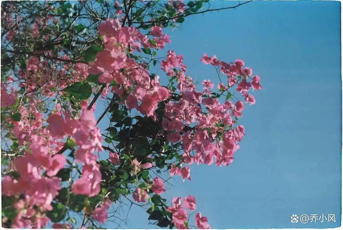 男人微信聊天会上瘾吗__爱聊微信的男人