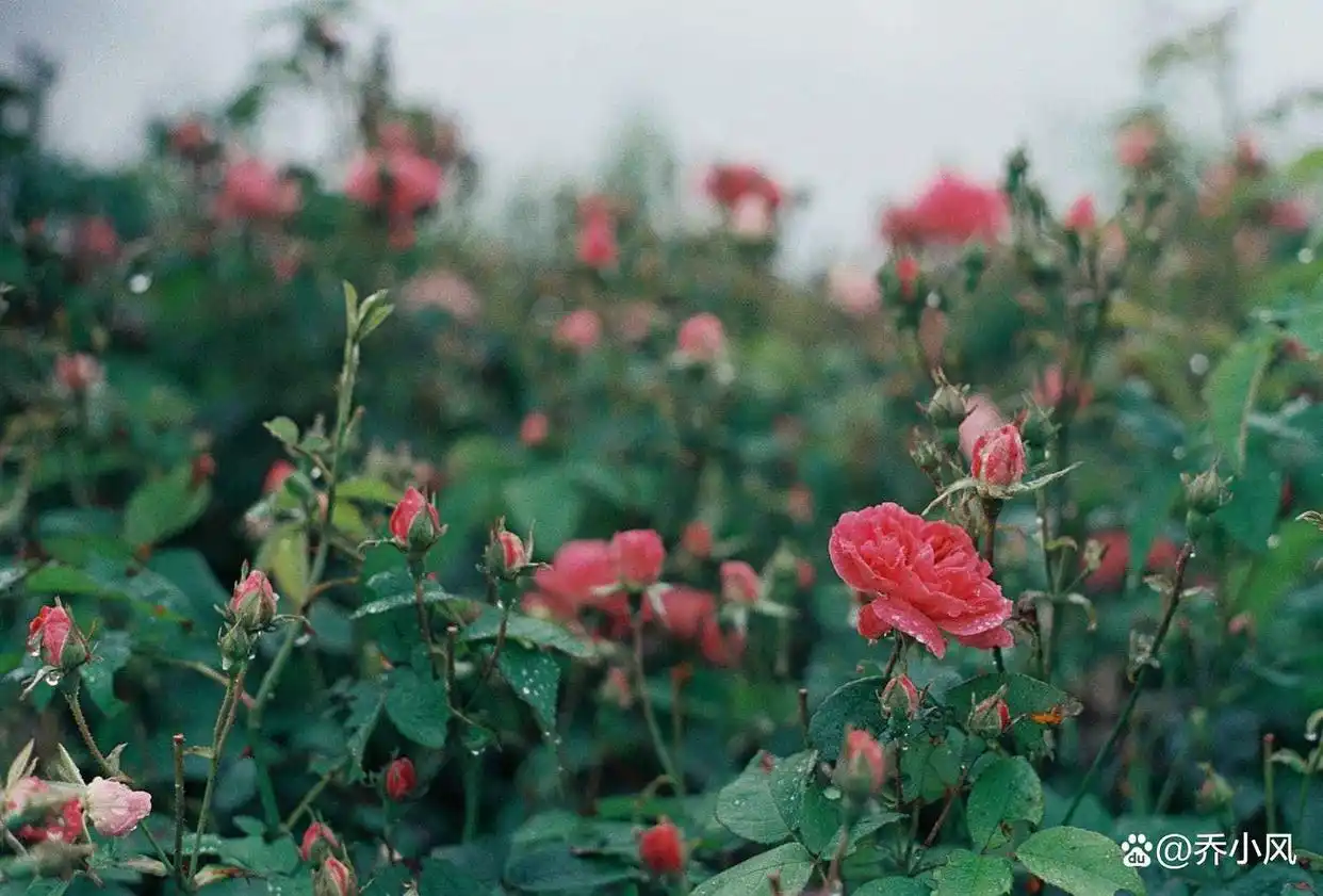 _爱聊微信的男人_男人微信聊天会上瘾吗