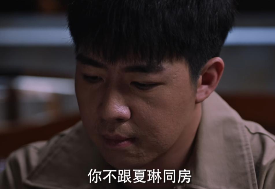 青山遮不住剧情介绍_青山遮不住电视剧在线播放_