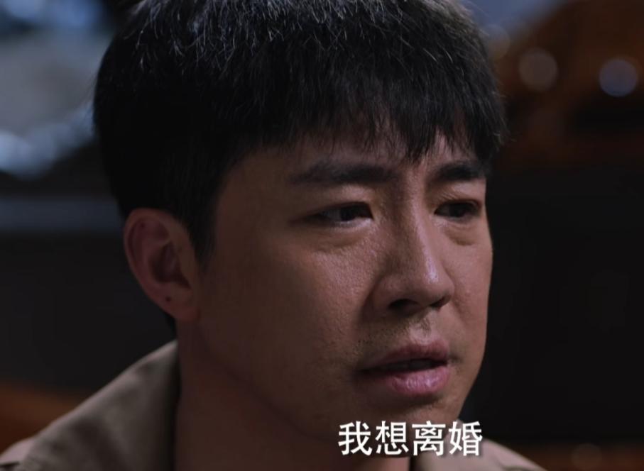 青山遮不住剧情介绍_青山遮不住电视剧在线播放_