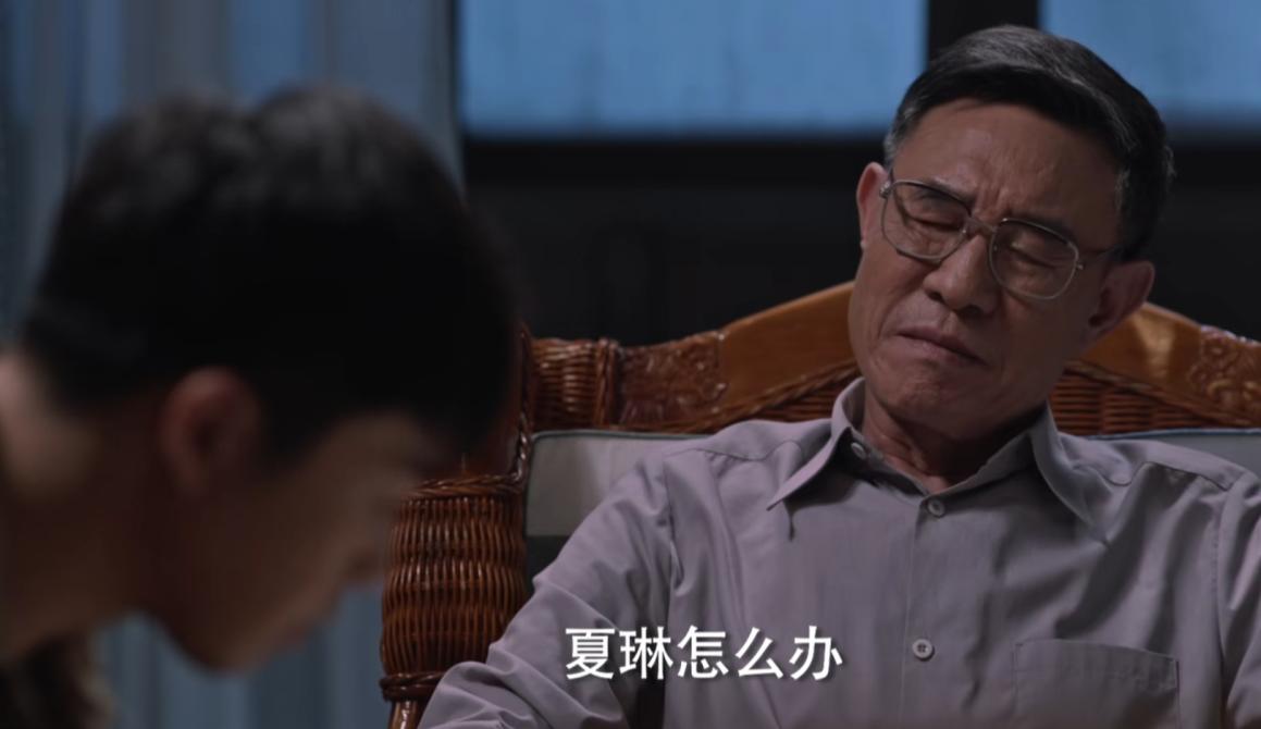 _青山遮不住剧情介绍_青山遮不住电视剧在线播放