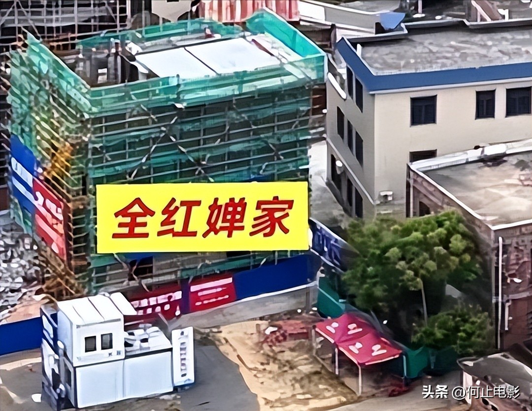 身材发胖风波4个月后，全红婵高调官宣喜讯，这次陈若琳能放心了_身材发胖风波4个月后，全红婵高调官宣喜讯，这次陈若琳能放心了_