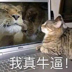 _拍霸总短剧这块，郑州真有点说法_拍霸总短剧这块，郑州真有点说法