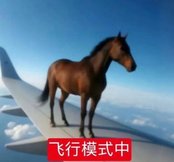 拍霸总短剧这块，郑州真有点说法__拍霸总短剧这块，郑州真有点说法