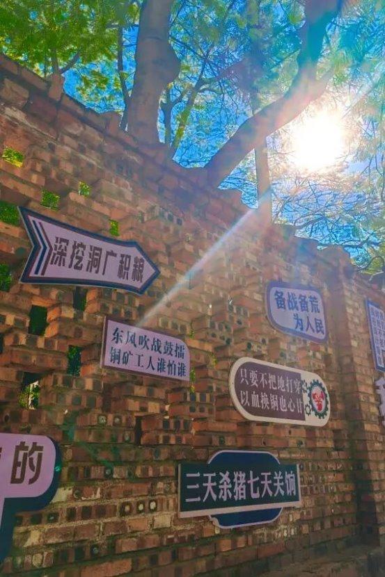 时光邂逅歌曲_时光的邂逅贝瓦儿歌_