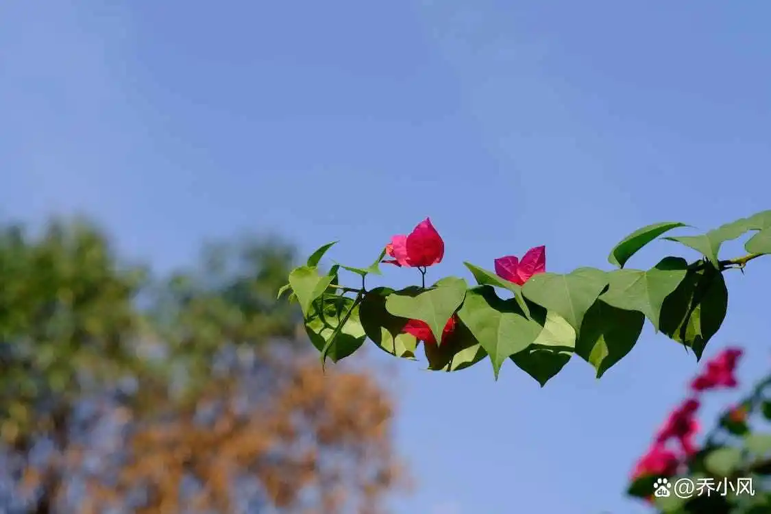 _男人真心悔过的句子_男人真心悔改的图片