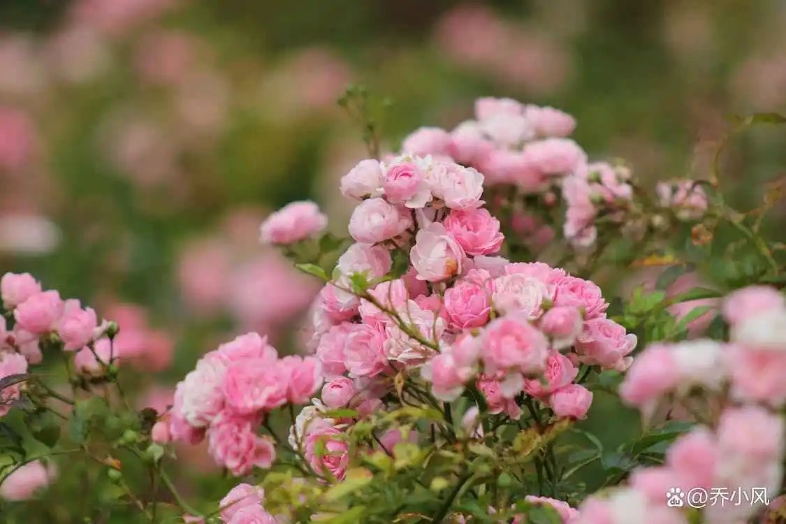 男人真心悔改的图片_男人真心悔过的句子_